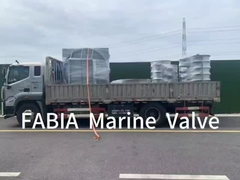 صمام FABIA البحري