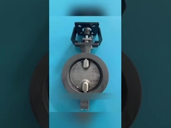 ما هو صمام الفراشة المحرك