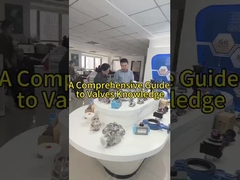 لماذا يفضل العملاء صمامات فابيا؟